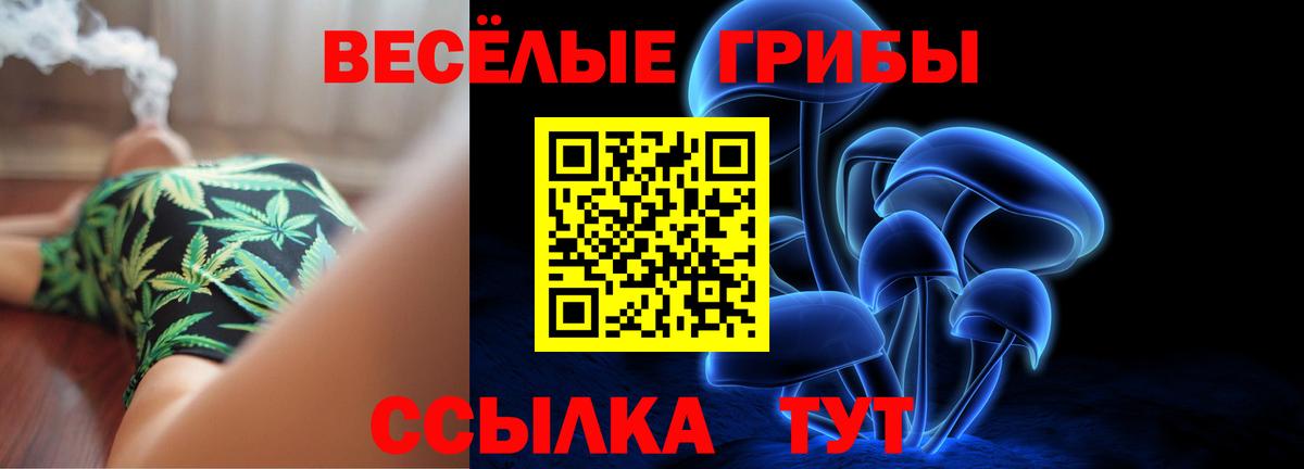 Псилоцибиновые грибы мухоморы  Вход с VPN  Малгобек 